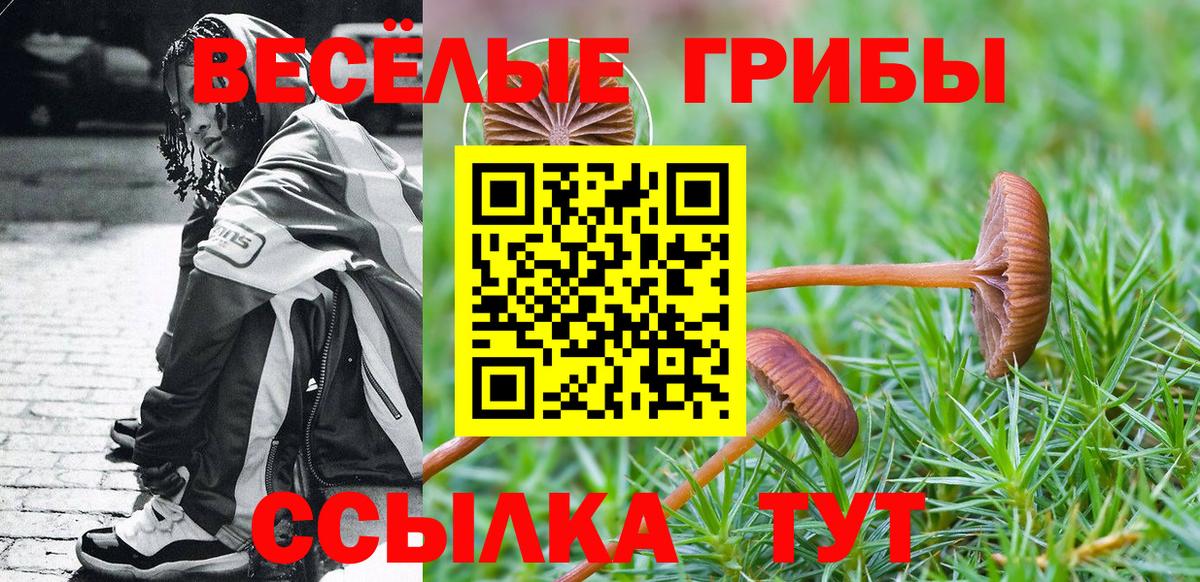 Псилоцибиновые грибы GOLDEN TEACHER Десногорск